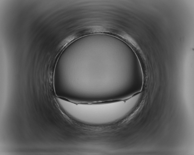 X0000084030793200703092009