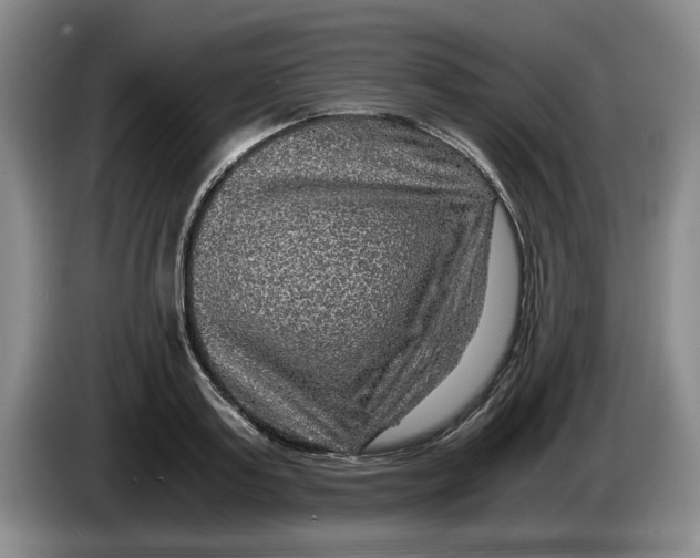 X0000084030795200703092009