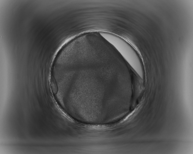 X0000084030797200703092009