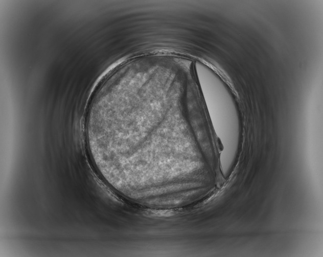 X0000084030798200703092009