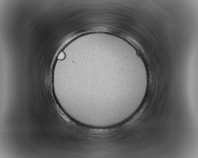 X0000084030800200703092009