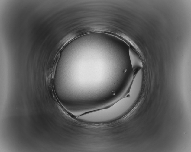 X0000084030801200703092009