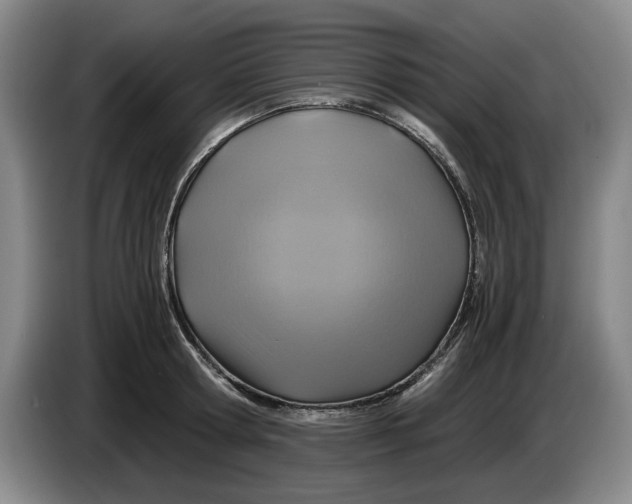 X0000084030802200703092009