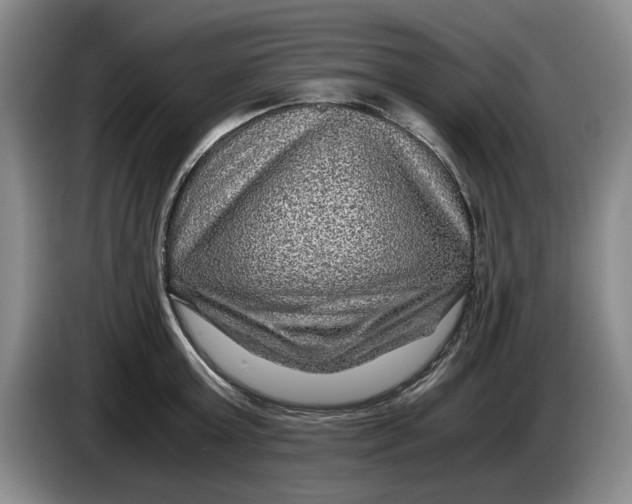 X0000084030803200703092009