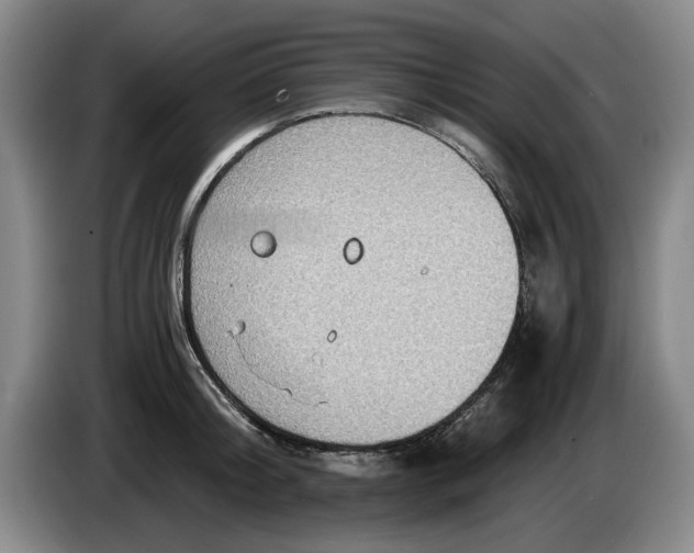 X0000084030804200703092009