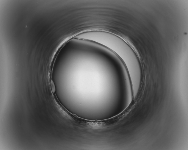 X0000084030805200703092009