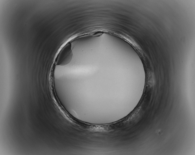 X0000084030806200703092009