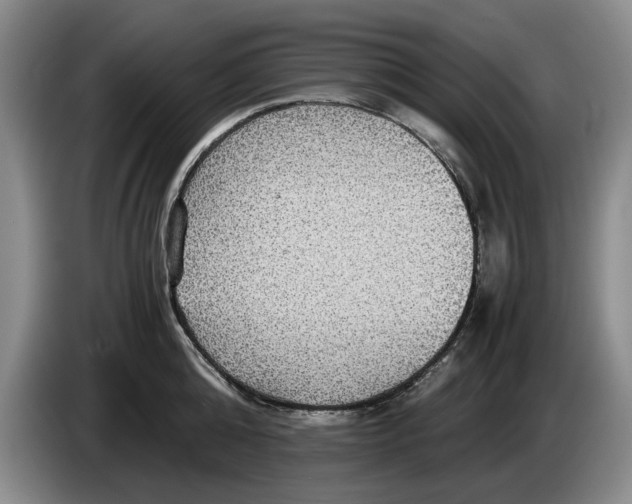 X0000084030808200703092009