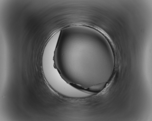 X0000084030809200703092009