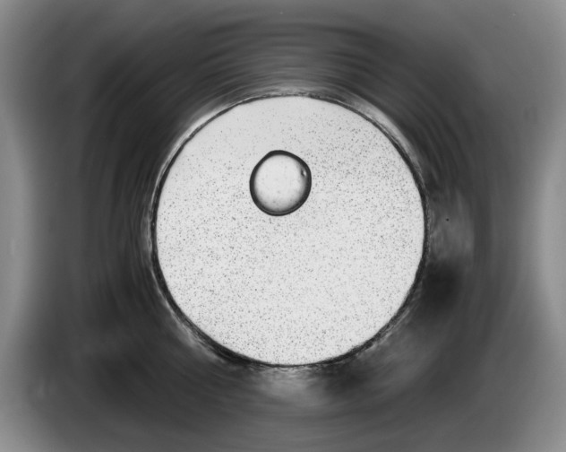 X0000084030810200703092009