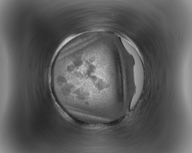 X0000084030811200703092009