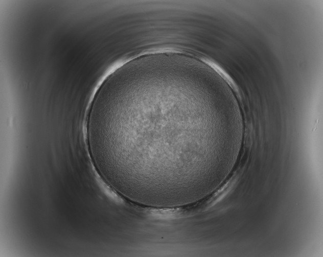 X0000084030813200703092009