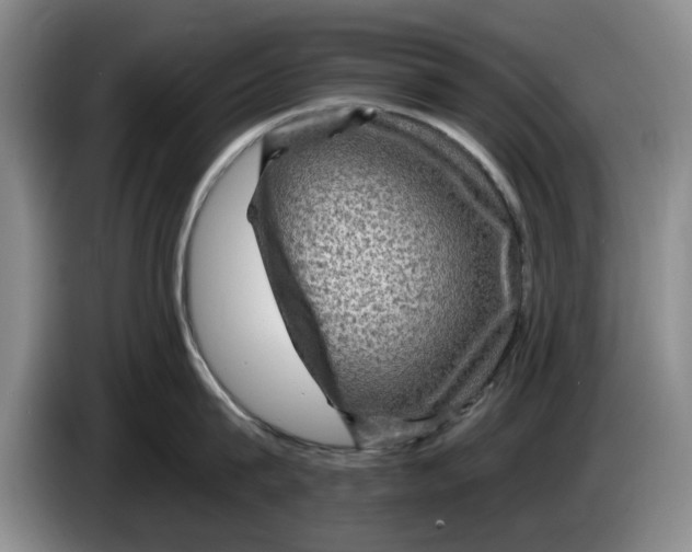 X0000084030815200703092009