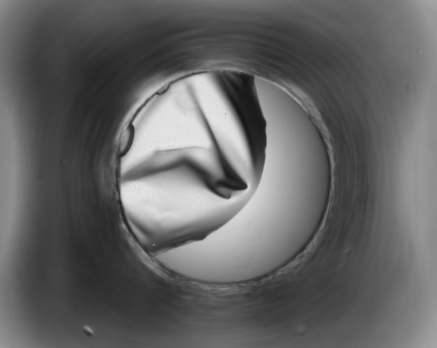 X0000084030816200703092009