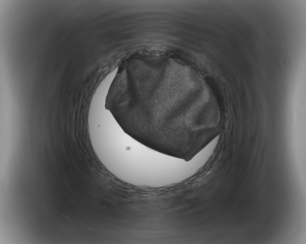 X0000084030818200703092008