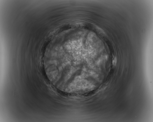 X0000084030819200703092008