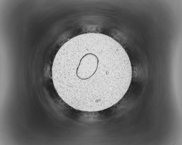 X0000084030820200703092008