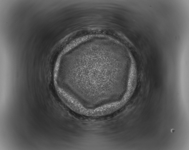 X0000084030821200703092008