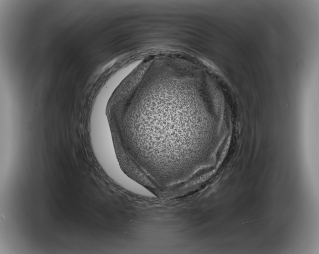 X0000084030822200703092008