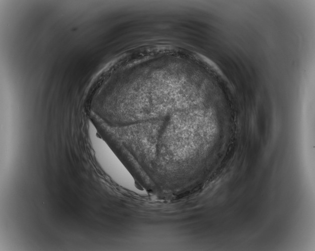 X0000084030823200703092008