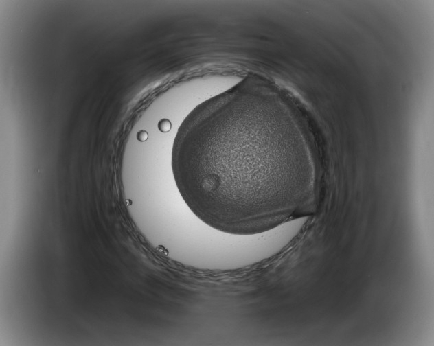 X0000084030824200703092008