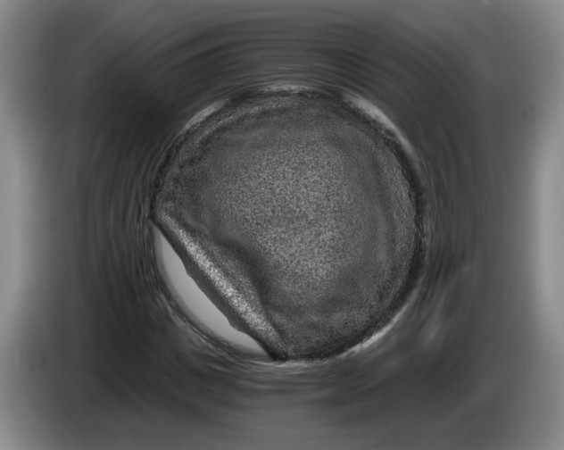 X0000084030825200703092008