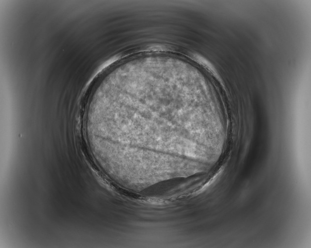 X0000084030827200703092008