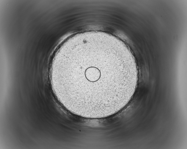 X0000084030828200703092008