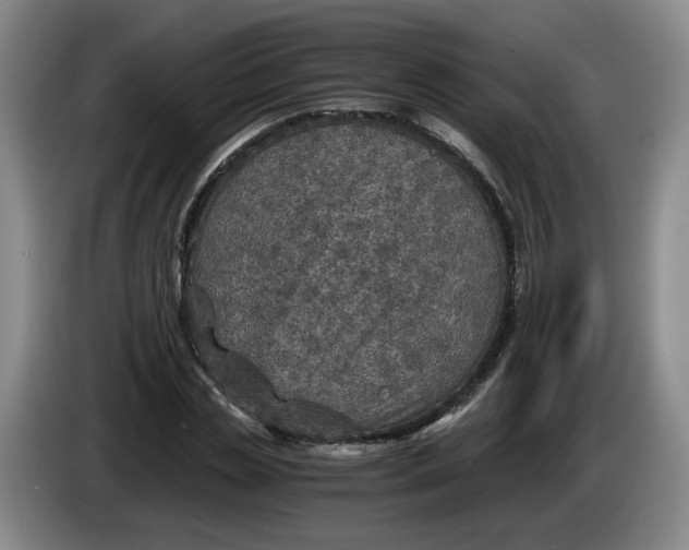 X0000084030829200703092008