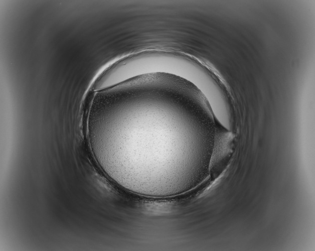 X0000084030830200703092008