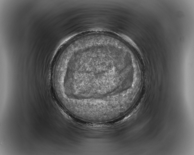 X0000084030831200703092008