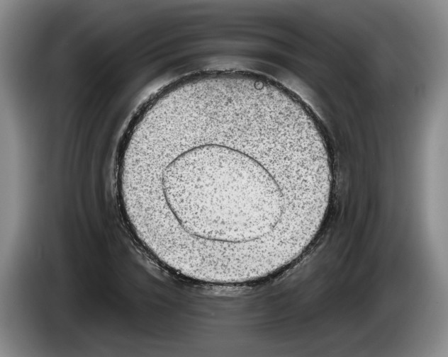 X0000084030832200703092008