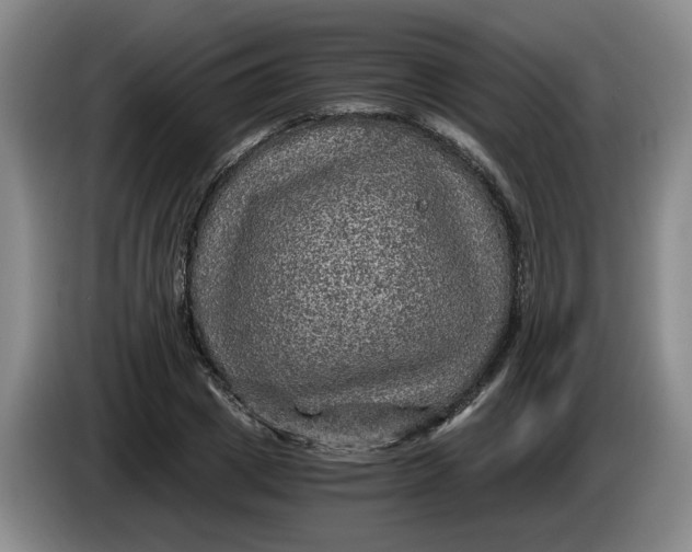 X0000084030833200703092008