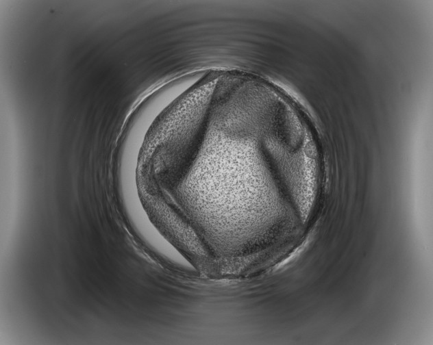 X0000084030834200703092008