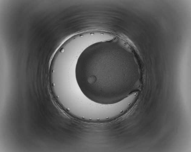 X0000084030836200703092008