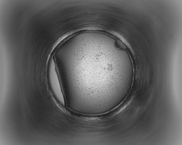 X0000084030837200703092008