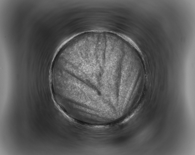 X0000084030839200703092008