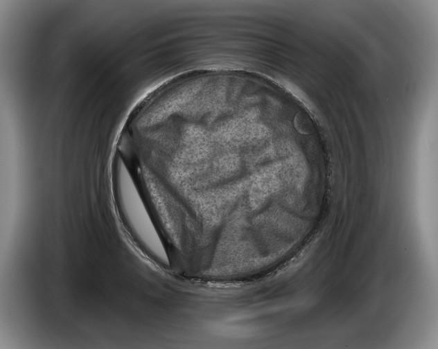 X0000084030840200703092008