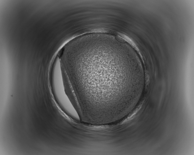 X0000084030843200703092008