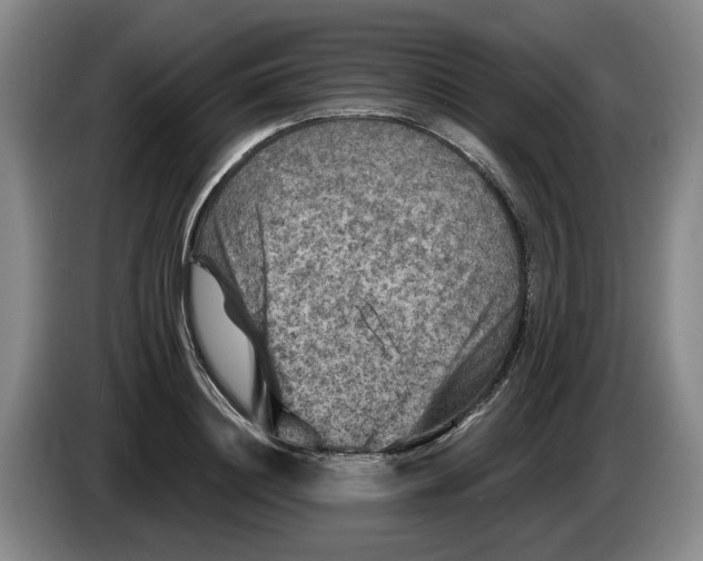 X0000084030844200703092008