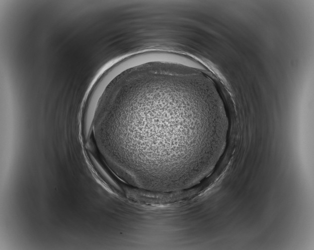 X0000084030846200703092008