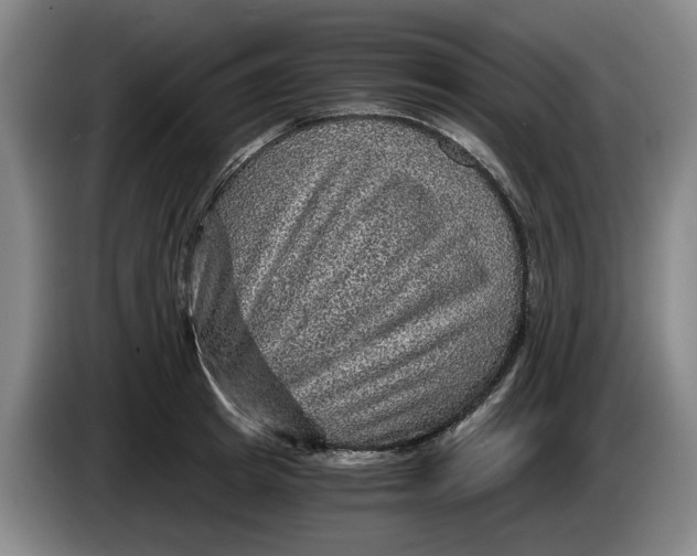 X0000084030849200703092008