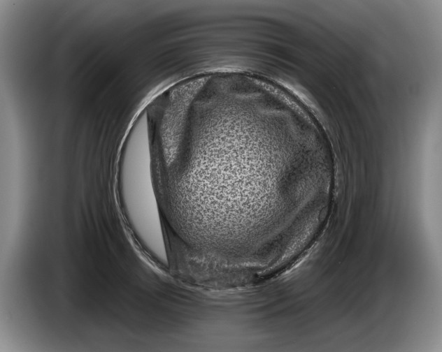 X0000084030850200703092008