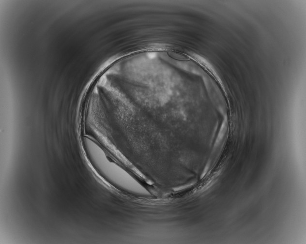 X0000084030851200703092009