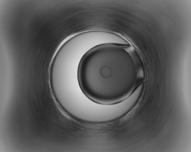 X0000084030854200703092009