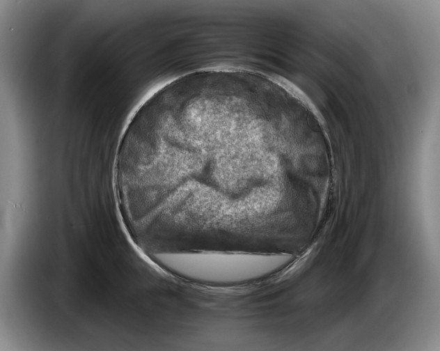 X0000084030855200703092009