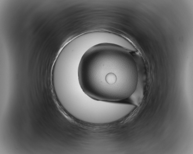 X0000084030858200703092009