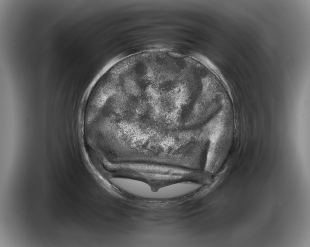 X0000084030859200703092009