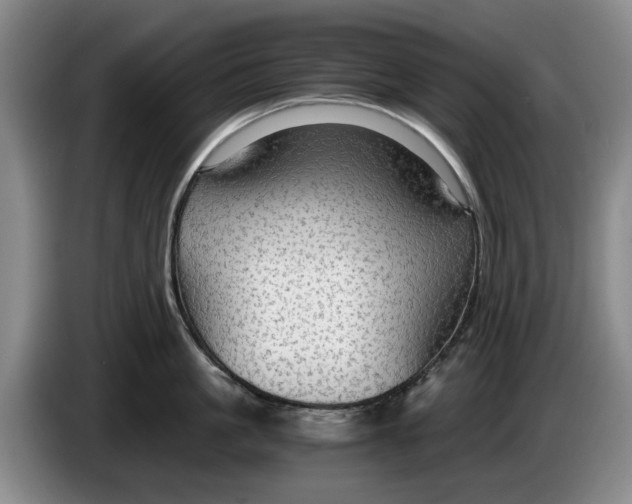 X0000084030861200703092009