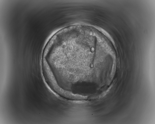 X0000084030863200703092009